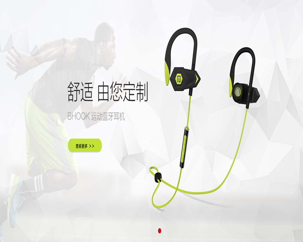 蘭士頓電子科技,蘭士頓集團